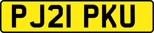 PJ21PKU