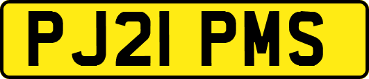 PJ21PMS