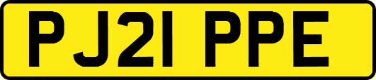 PJ21PPE
