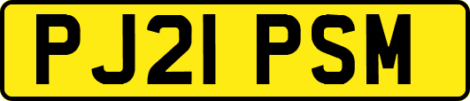 PJ21PSM