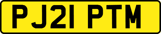 PJ21PTM