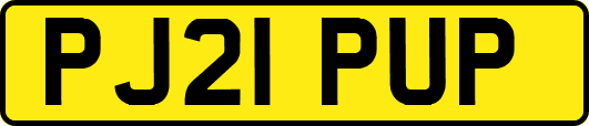PJ21PUP