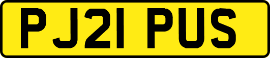 PJ21PUS