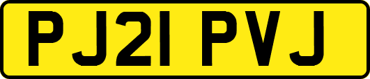 PJ21PVJ