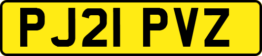 PJ21PVZ