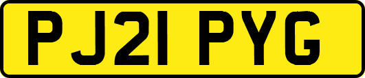 PJ21PYG