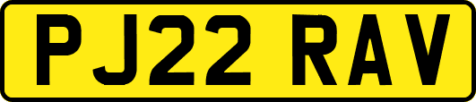 PJ22RAV