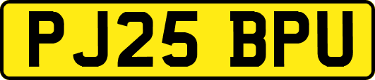 PJ25BPU