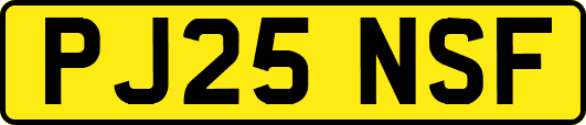 PJ25NSF