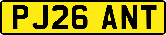 PJ26ANT