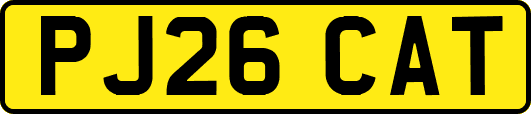 PJ26CAT