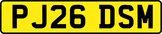 PJ26DSM
