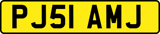 PJ51AMJ