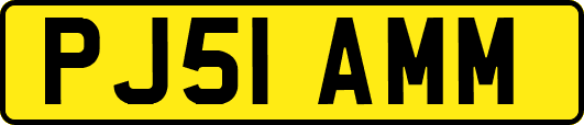 PJ51AMM