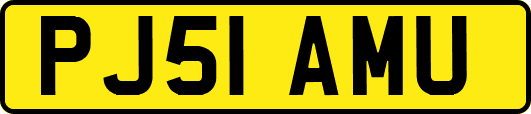 PJ51AMU