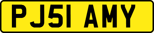 PJ51AMY