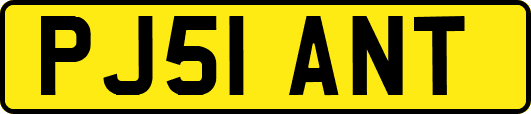 PJ51ANT