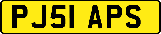 PJ51APS