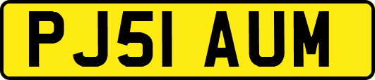 PJ51AUM