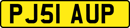 PJ51AUP