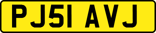 PJ51AVJ