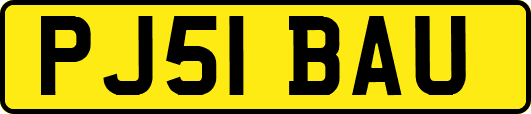 PJ51BAU