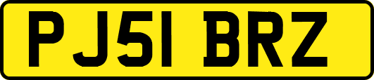 PJ51BRZ