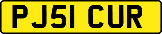 PJ51CUR