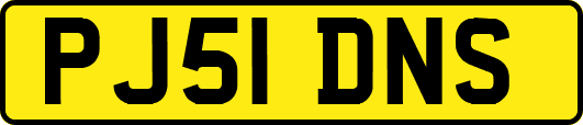 PJ51DNS