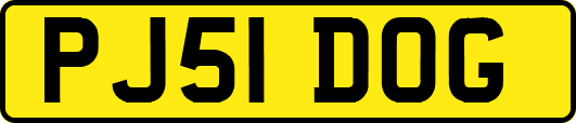 PJ51DOG