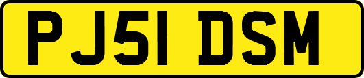 PJ51DSM