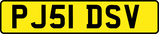 PJ51DSV