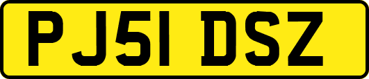 PJ51DSZ