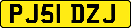 PJ51DZJ