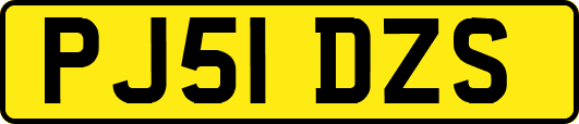 PJ51DZS