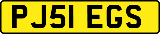 PJ51EGS