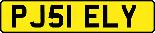 PJ51ELY