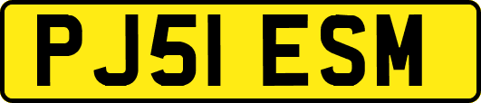 PJ51ESM