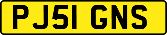 PJ51GNS