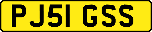 PJ51GSS