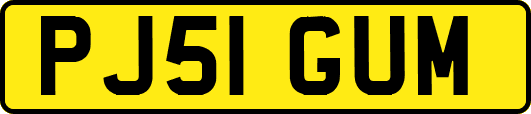PJ51GUM