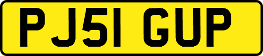 PJ51GUP