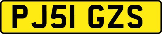 PJ51GZS