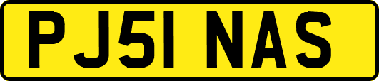 PJ51NAS