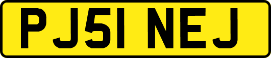 PJ51NEJ
