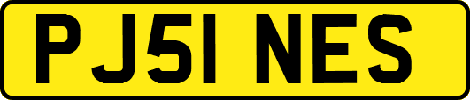 PJ51NES