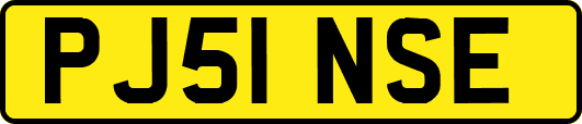 PJ51NSE