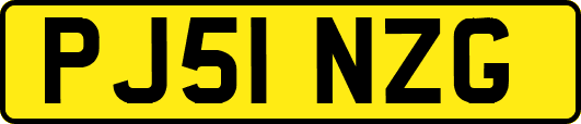 PJ51NZG