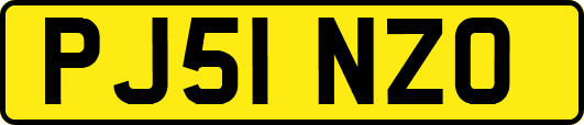PJ51NZO