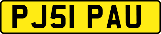 PJ51PAU
